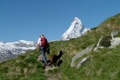 Randonnée avec chien sur un sentier de Zermatt