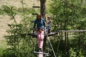Forest Fun Park