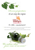 © Vins de Morges