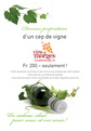 © Vins de Morges