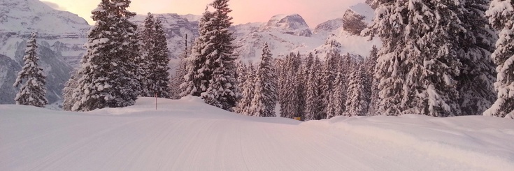 kessler snowboard preise kessler snowboard preise
