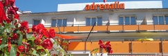 adrenalin backpackers hostel