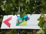 Gourmet walking trip in the Grandson region