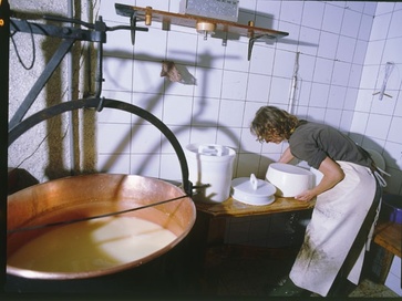 Cheese production in the Alpsennerei