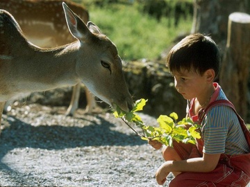 Im Tierpark