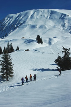 Schneespass Habkern Lombachalp Schneespass Habkern Lombachalp