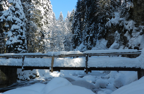 Schneeschuhlaufen Habkern Schneeschuhlaufen Habkern