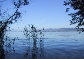 Zürichsee