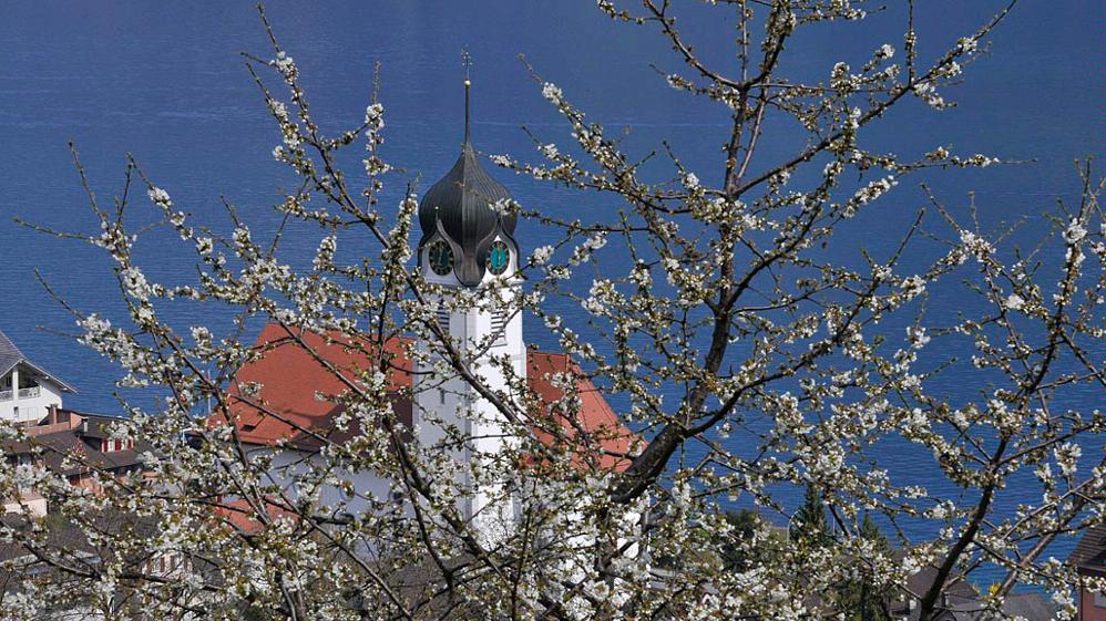 Spring in Uri