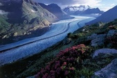 der grosse Aletschgletscher