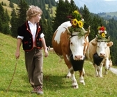 Alpabzug