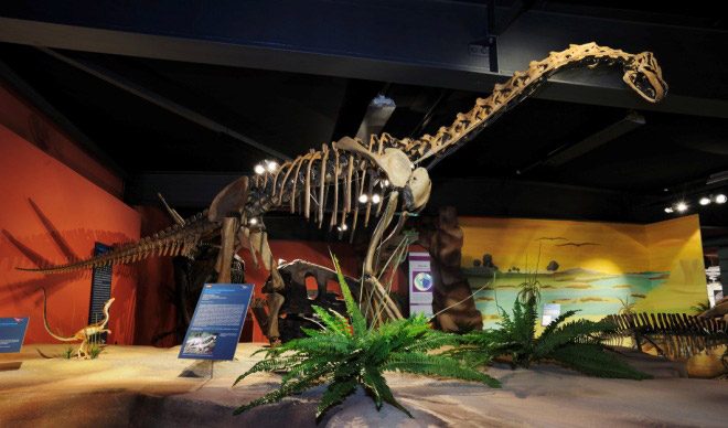 Aathal Dinosaur Museum  Zurich Oberland Tourism