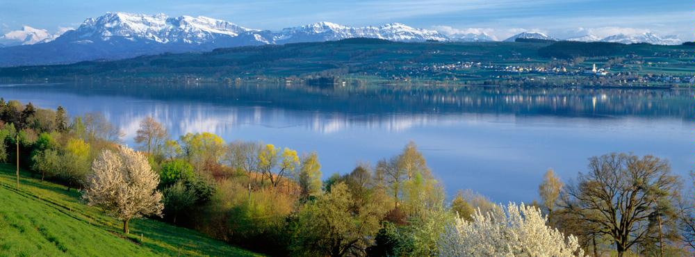 Kontakt Sempachersee