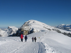 Interlaken - Sports d‘hiver à la carte Interlaken - Sports d‘hiver à la carte