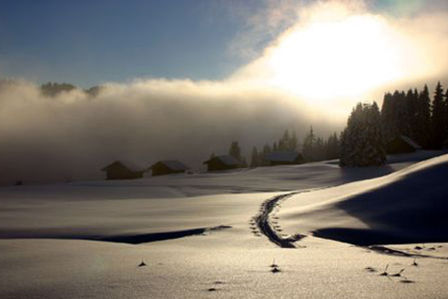 Schneeschuhlaufen Habkern Schneeschuhlaufen Habkern