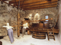 © Musée de la Vigne, du vin et de l'étiquette, photo Fibbi- Aeppli