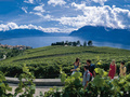 Lavaux-UNESCO