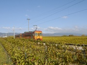 Chemin de fer Nyon – St-Cergue – La Cure, Nyon