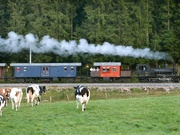 Compagnie du train à vapeur de la Vallée de Joux