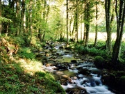 © Yverdon-les-Bains Région