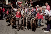 The Zermatt Geissenkehr arouses a great deal of interest among the guests