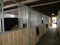 Haras de Lully