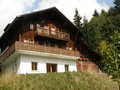 Le Budokan, Les Diablerets