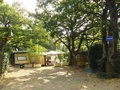 © Camping des Buis, La Sarraz, Waadt, Schweiz