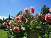 © Tourist Information Center Morges