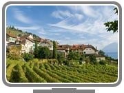 © HP Siffert / Weinweltfoto.ch