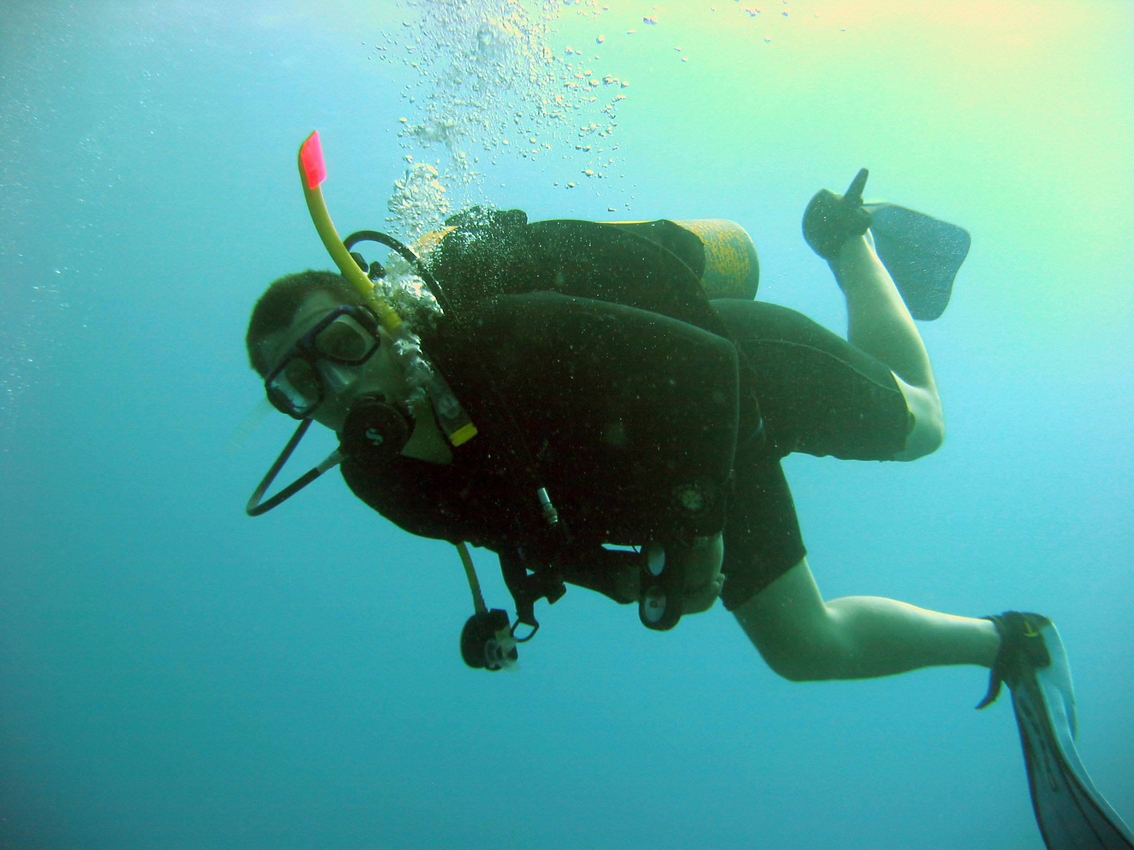 Préverenges : brevet de plongée PADI Scuba Diver chez Deep Turtle pour 295 au