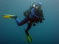 Diving