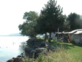 Camping des Iris, Yverdon-les-Bains