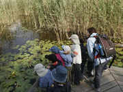 Centre Pro Natura, Yverdon-les-Bains