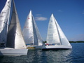 © Pro-Sailing