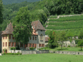 Domaine De La Lance