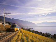 © Golden Pass Services