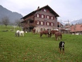 Ferienwohnung Bürgi